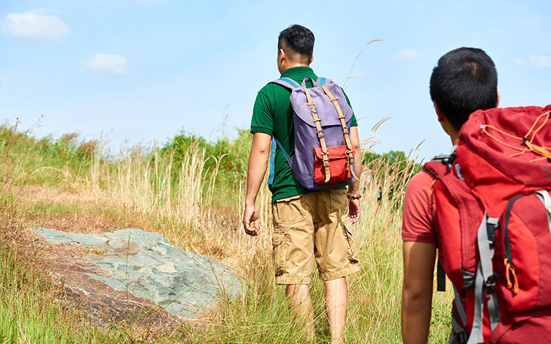 Montaineering Safaris